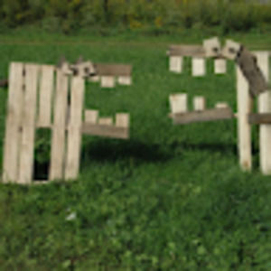 Meet your Posher, Carter